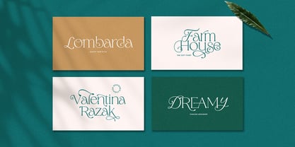 Anothers Display Font Poster 5