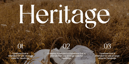 Reanointe Font Poster 3