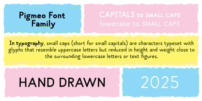 Pigmeo Font Poster 4