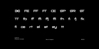 Brick Romine Font Poster 5