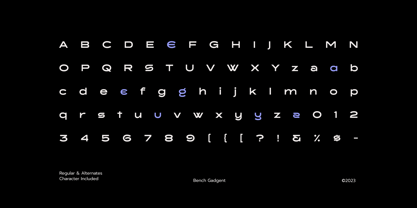 Brick Romine Font Poster 6