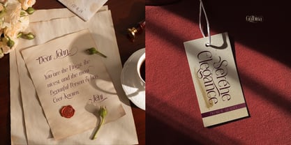 Gulbina Font Poster 9