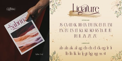 Gulbina Font Poster 4