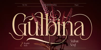 Gulbina Font Poster 1