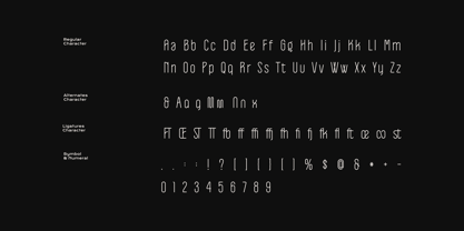 Mongole Font Poster 5