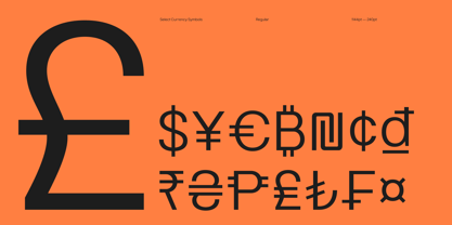 Rodley Font Poster 14