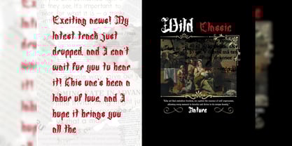 Chroines Font Poster 15