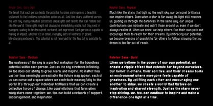 Roister Sans Font Poster 5