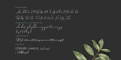 Starmonte Font Poster 12