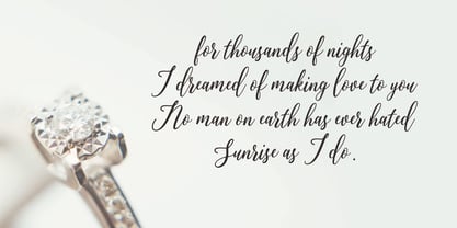 Disandra Font Poster 6