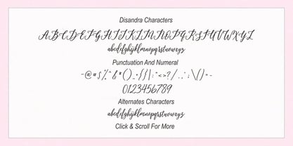 Disandra Font Poster 5