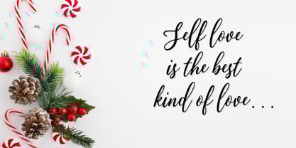 Disandra Font Poster 4