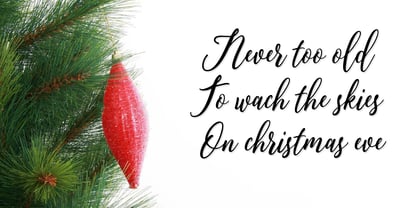 Disandra Font Poster 7