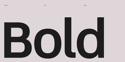 Burstwick Font Poster 11