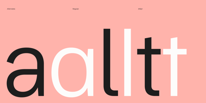 Burstwick Font Poster 9