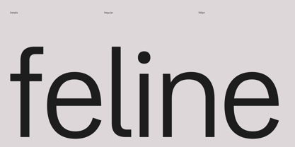 Burstwick Font Poster 8