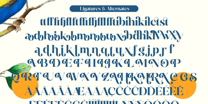 Prague Quest Font Poster 15