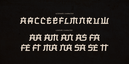 Shokudo Font Poster 6