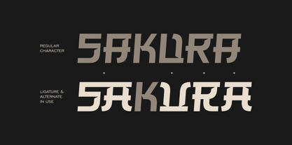 Shokudo Font Poster 3