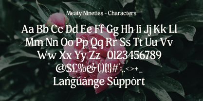 Meaty Nineties Font Poster 12
