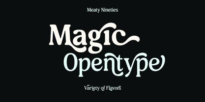 Meaty Nineties Font Poster 10