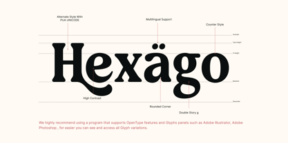 Meaty Nineties Font Poster 6