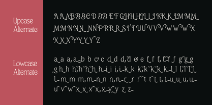 Meaty Nineties Font Poster 13