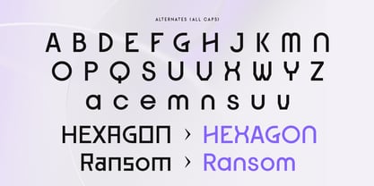 Stagline Font Poster 10