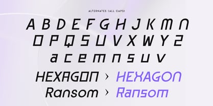 Stagline Font Poster 12