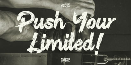 Sludgy Brush Font Poster 3