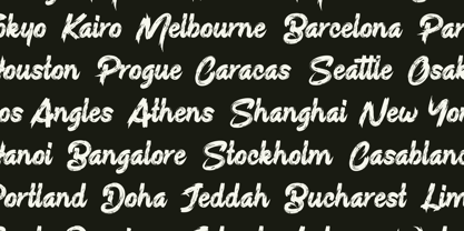 Sludgy Brush Font Poster 4