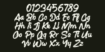 Sludgy Brush Font Poster 6