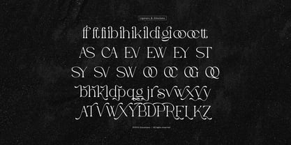 Evoxsy Font Poster 12