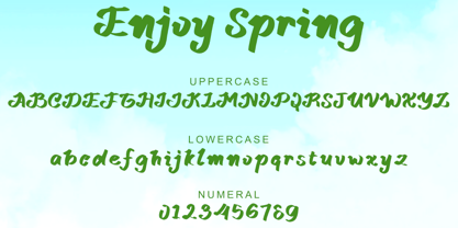 Enjoy Spring Font Poster 5