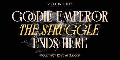 Bolger Font Poster 2