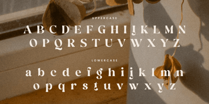 Blaine Retro Font Poster 11