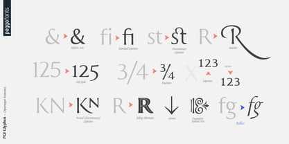 PGF Glyphos Font Poster 11
