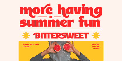 Nubars Font Poster 2