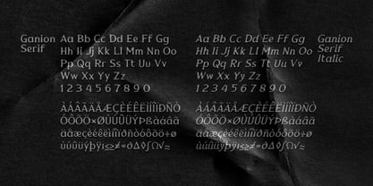 Ganion Font Poster 7