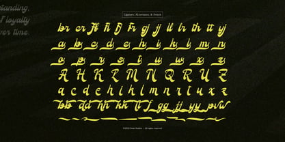 Love Simpathy Font Poster 12