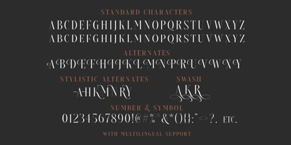 Dricher Font Poster 9