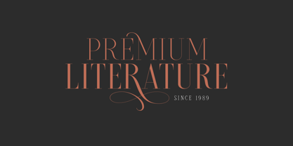 Dricher Font Poster 7