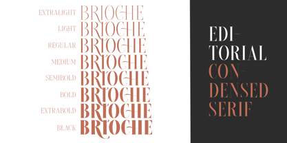 Dricher Font Poster 2