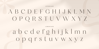 Clarist Font Poster 11