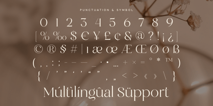 Clarist Font Poster 12