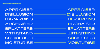 Brokuets Sans Font Poster 5