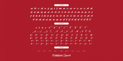 Letterking Quality Font Poster 15