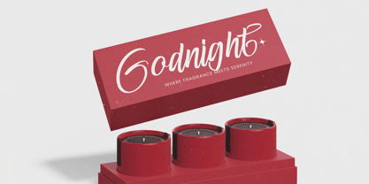 Letterking Quality Font Poster 9