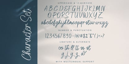 Agia Valley Font Poster 8