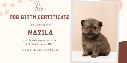 Doggy Funky Font Poster 3